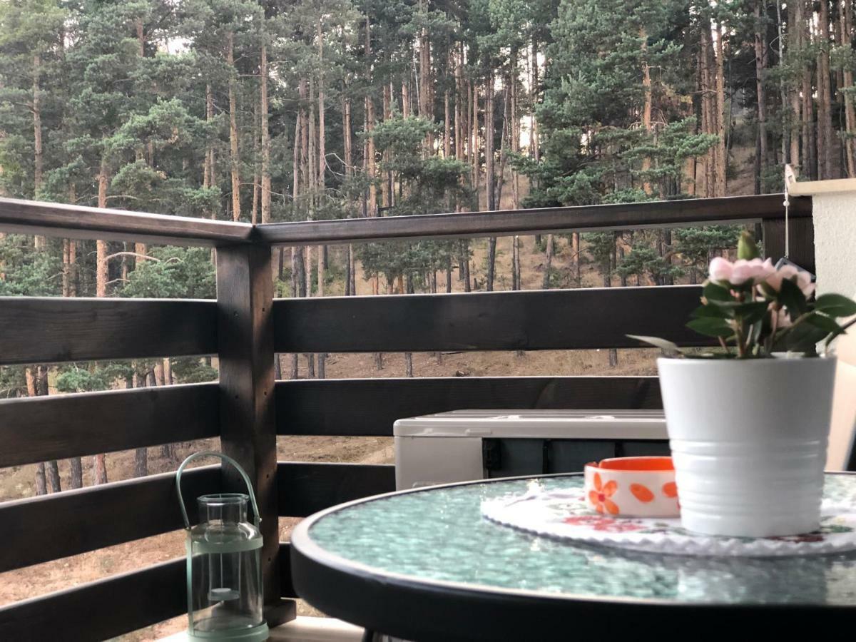 Appartement Borov Park 3 à Velingrad Extérieur photo